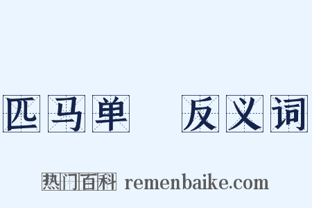 匹马单鎗反义词是什么意思的图片